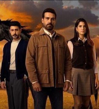 مسلسل ليل مسلسلات عربية